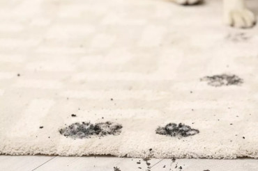 Revealing The Best Ways To Remove Mud From Carpets Quickly